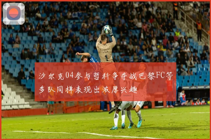 沙尔克04参与哲科争夺战巴黎FC等多队同样表现出浓厚兴趣